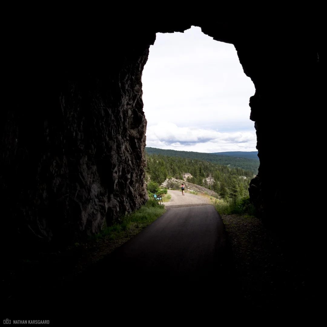 Wild-6031177.jpg