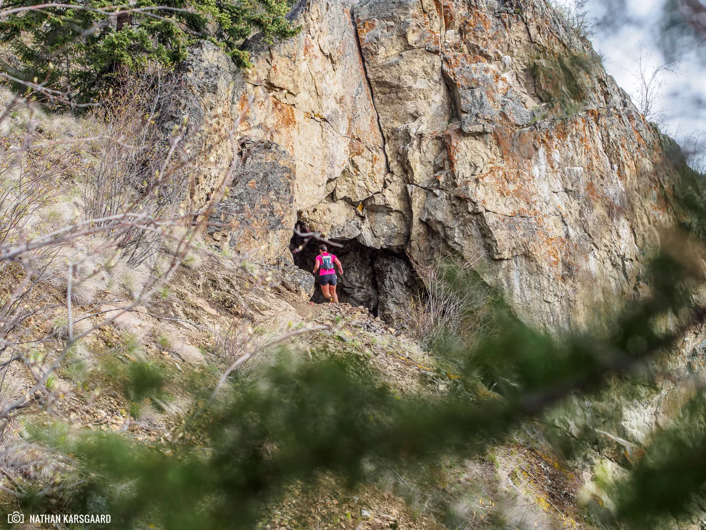 NimbleBear-nk-P4220238.jpg