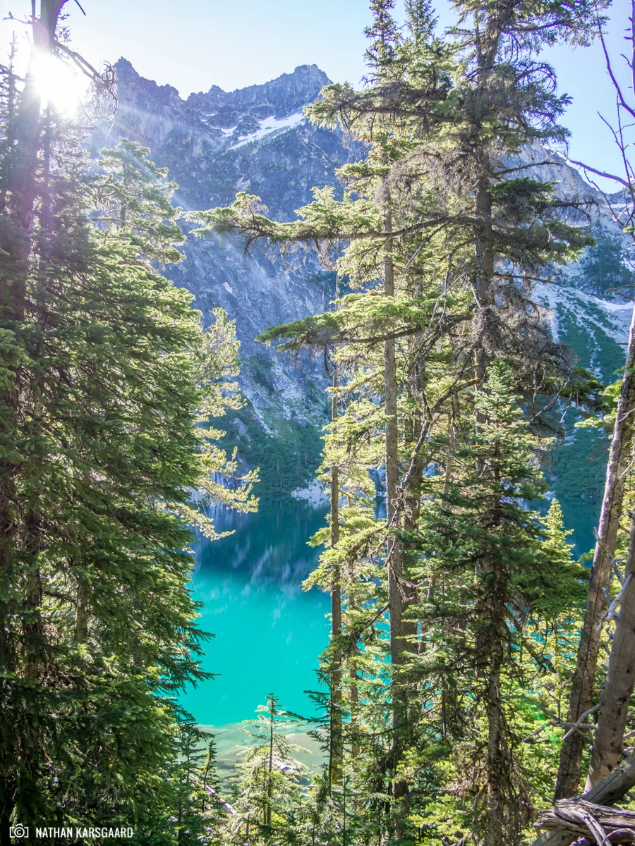 NK-Enchantments-7080177.jpg