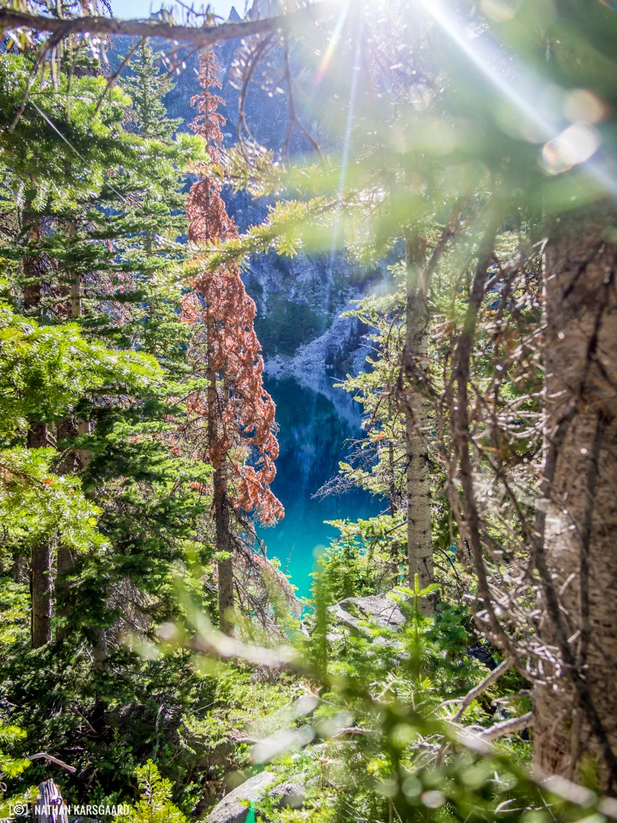 NK-Enchantments-7080194.jpg