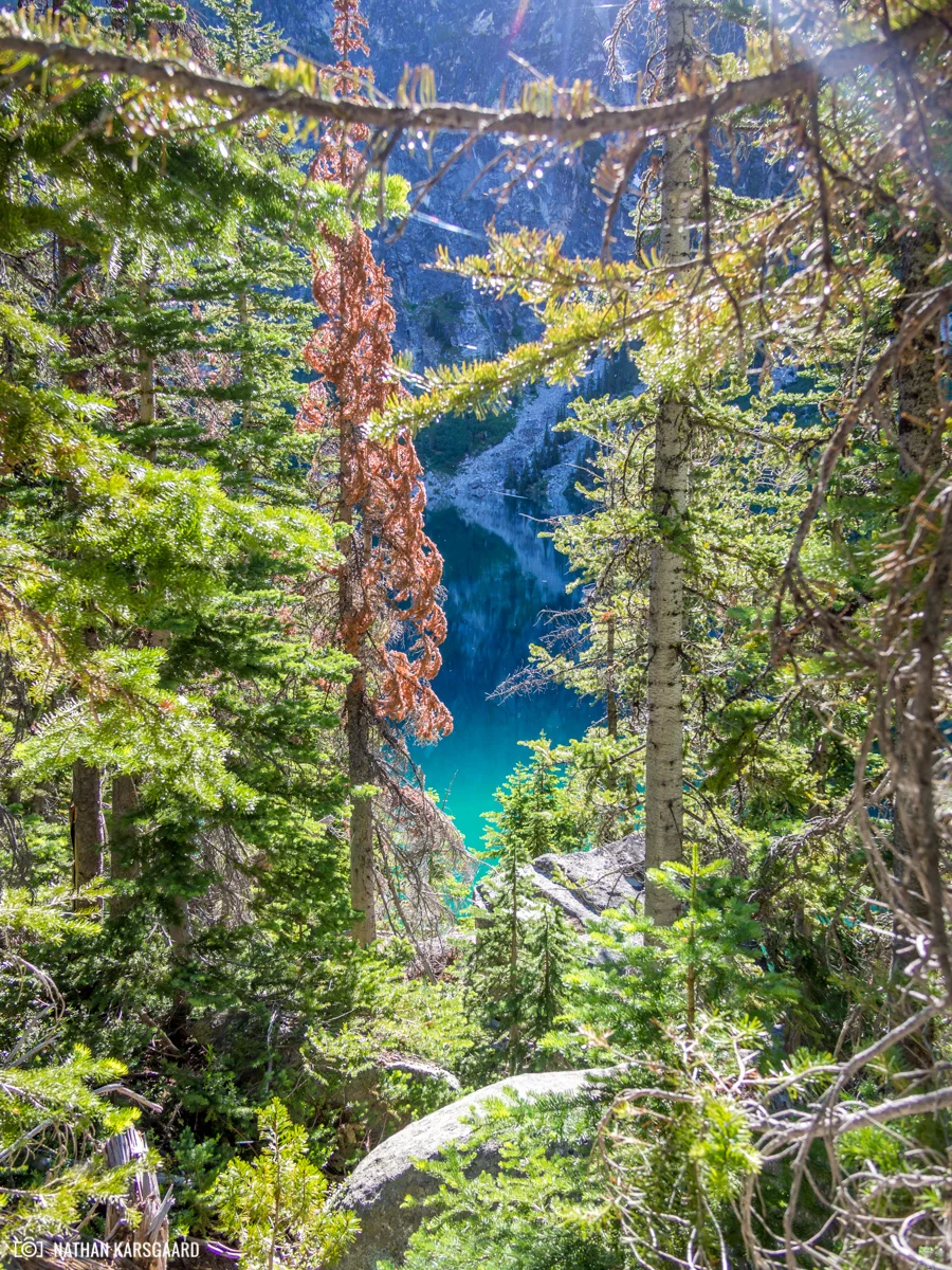 NK-Enchantments-7080190.jpg