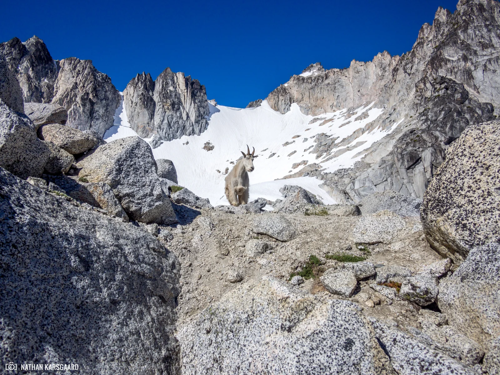 NK-Enchantments-7080319.jpg