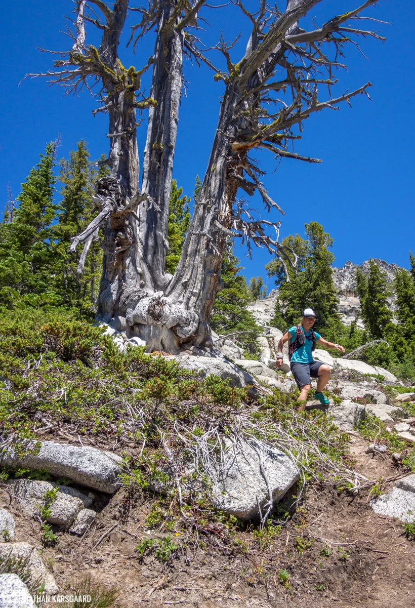 NK-Enchantments-7080866.jpg