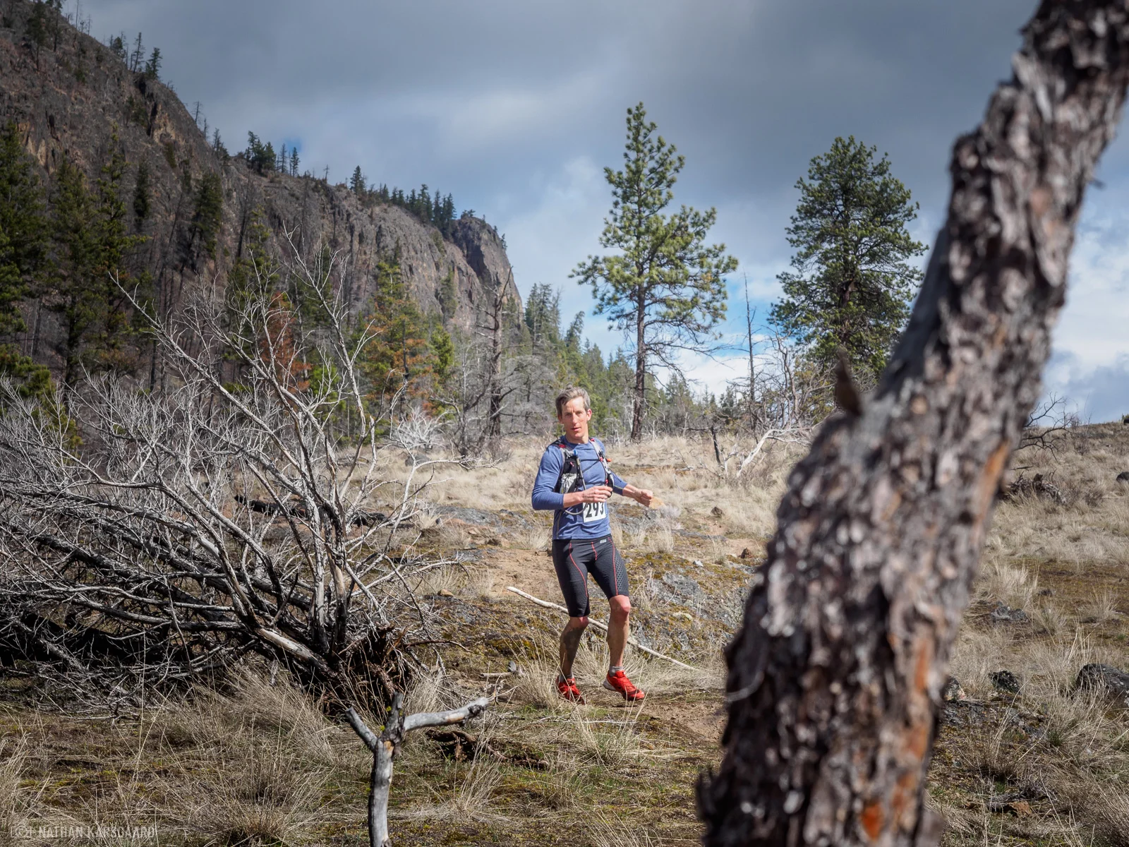 FW-NimbleBear2018-101.jpg