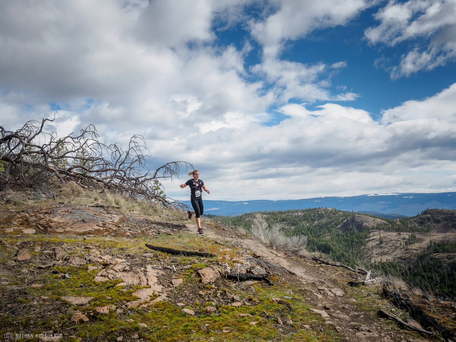 FW-NimbleBear2018-106.jpg