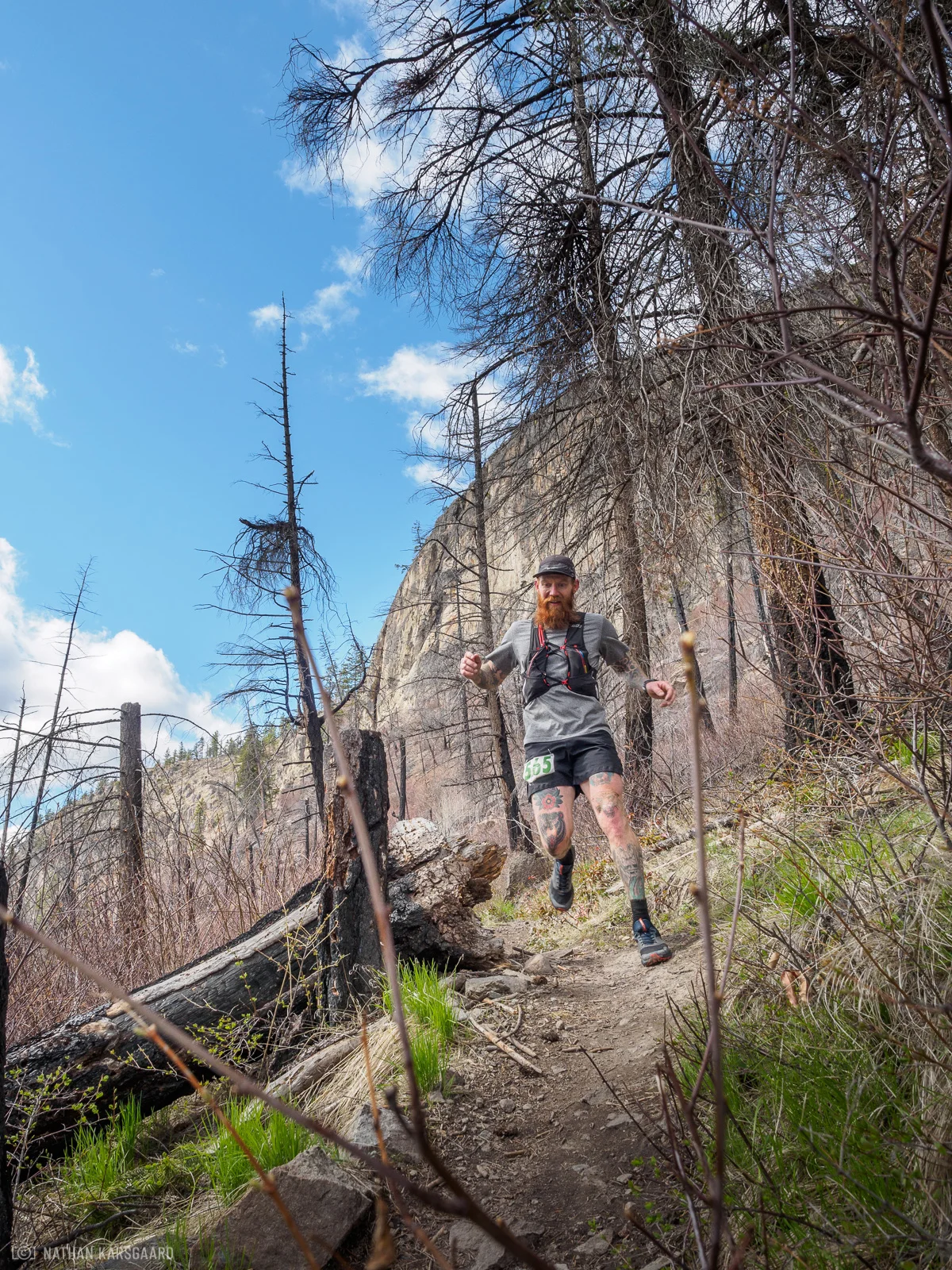 FW-NimbleBear2018-108.jpg