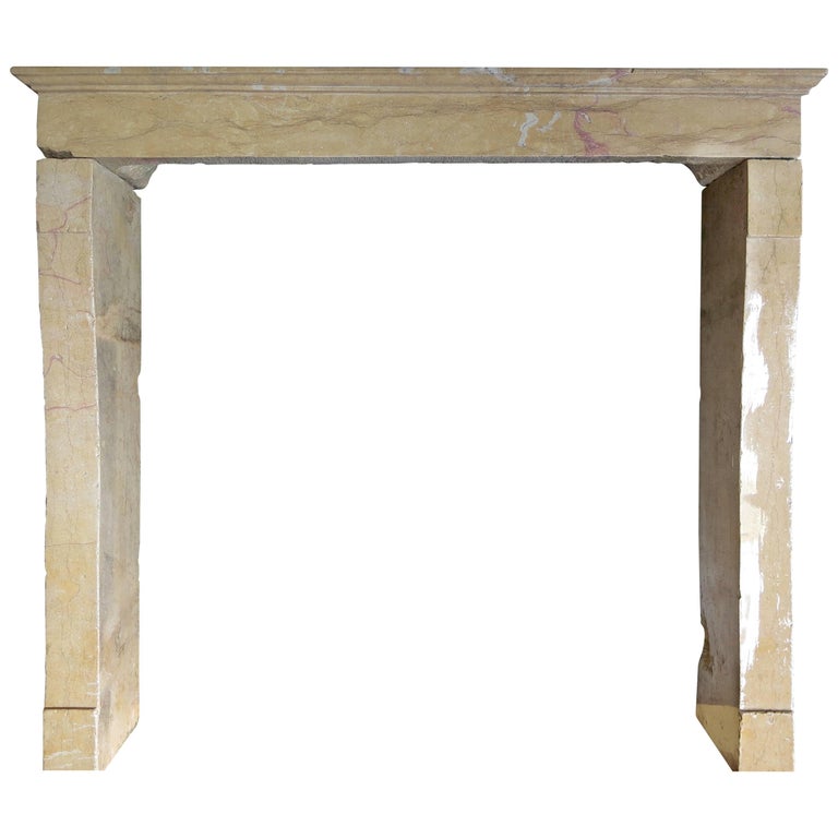 French Antique Stone Fireplace 19th Century