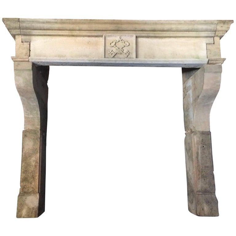 French antique fireplace Louis XIII Style 20th century France