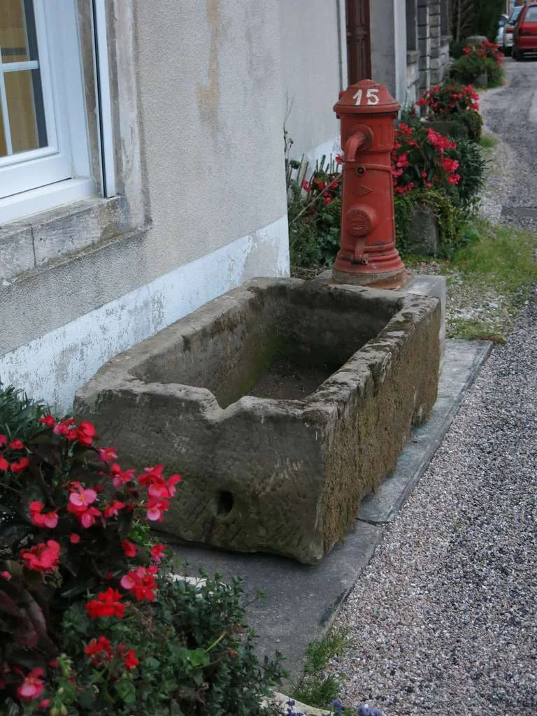 French antique countryside fountain 19th century France