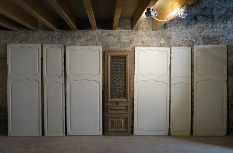 French antique wood doors 19th century France