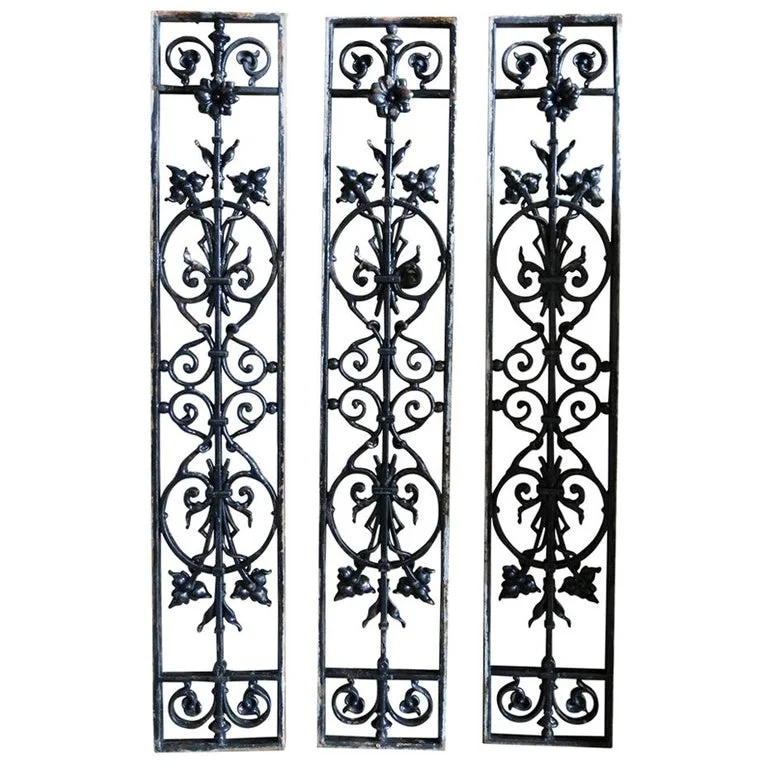 French antique windows gates in iron 19th century France