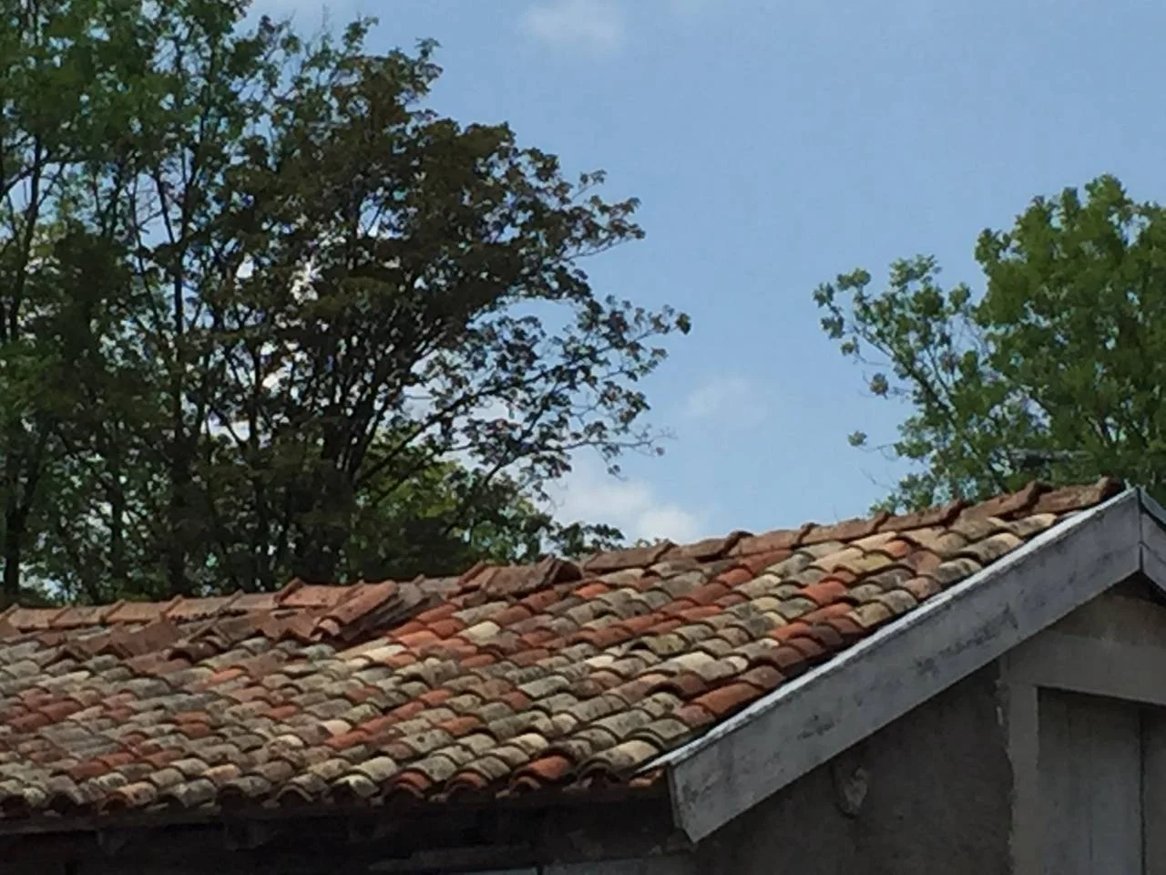 French antique roof tiles in terra-cotta 19th century France