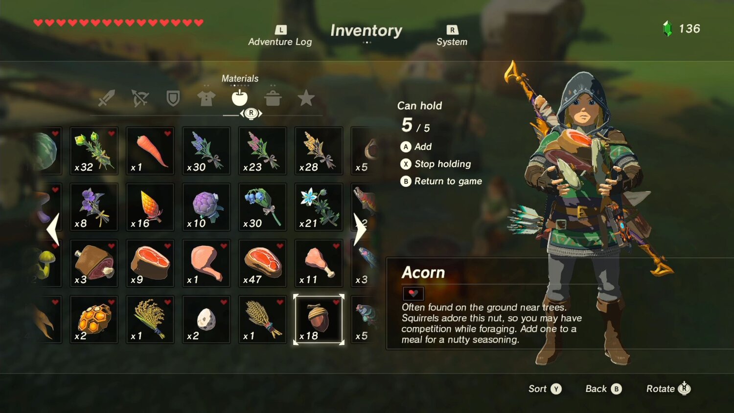 botw+-+acorn+health.jpg?format=1500w