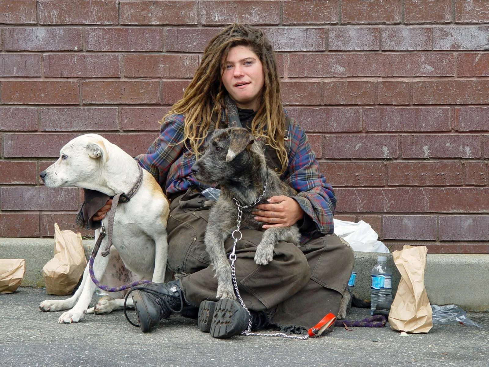 SFBay.ca