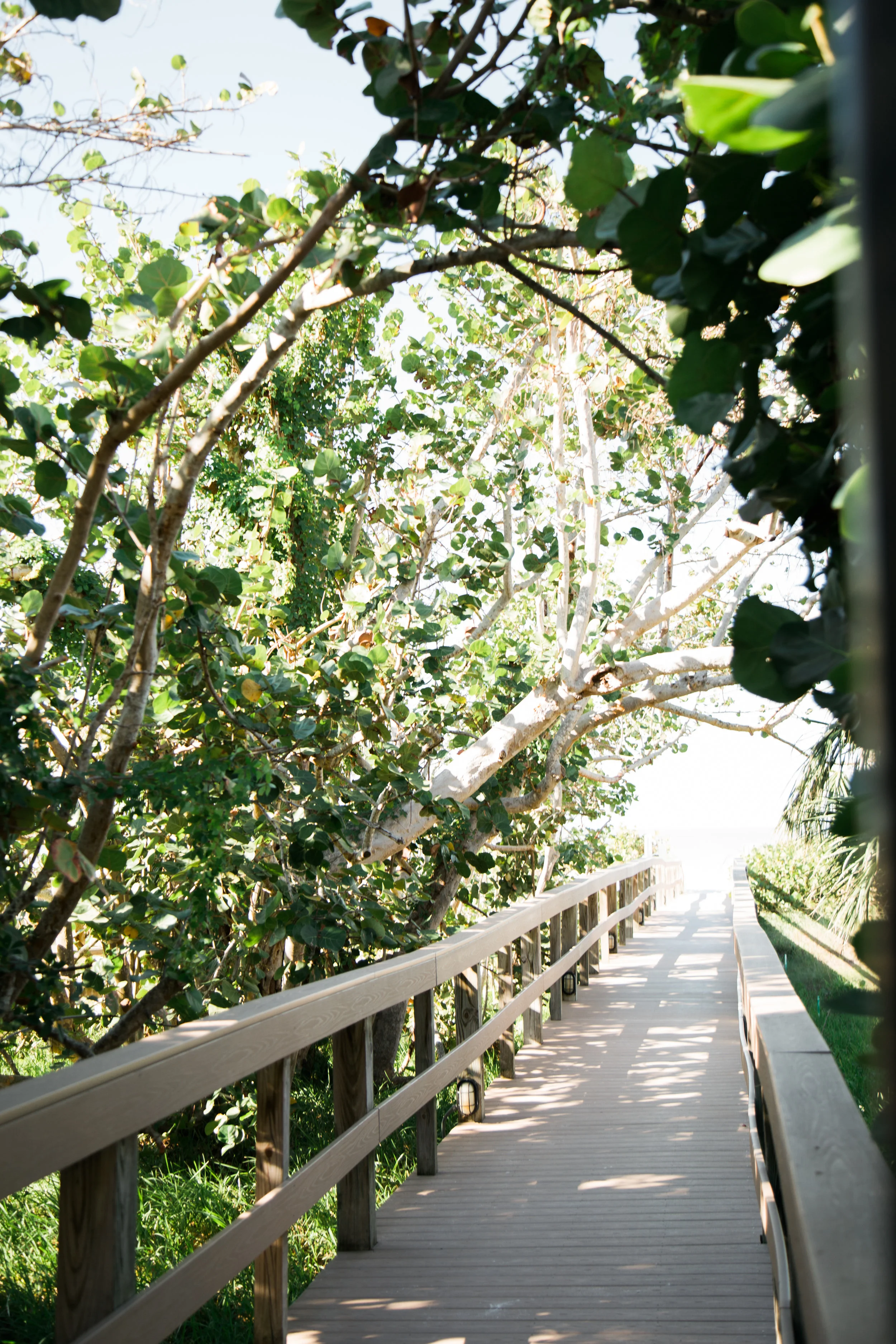 Beautiful, sunny, and intimate Florida beach wedding at Sunset. Documentary Wedding photographer for the genuine couple in love.