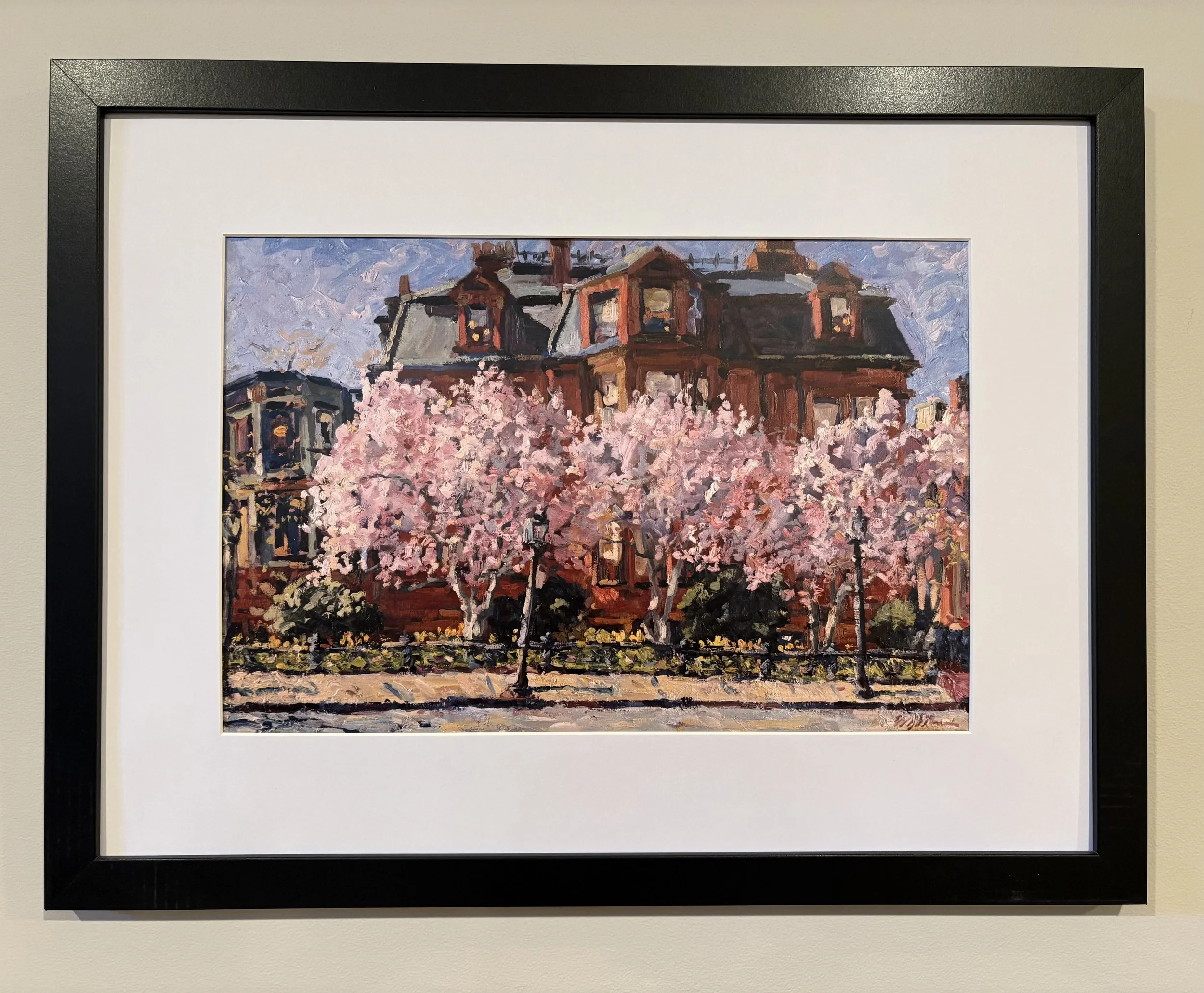 Magnolias on Marlborough