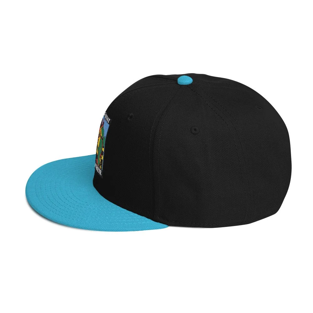 snapback-aqua-blue-black-black-left-side-68efe58eb80c7.jpg