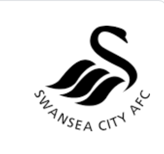SWANSEA FOOTBALL TEAM x  BLISSPOINT™