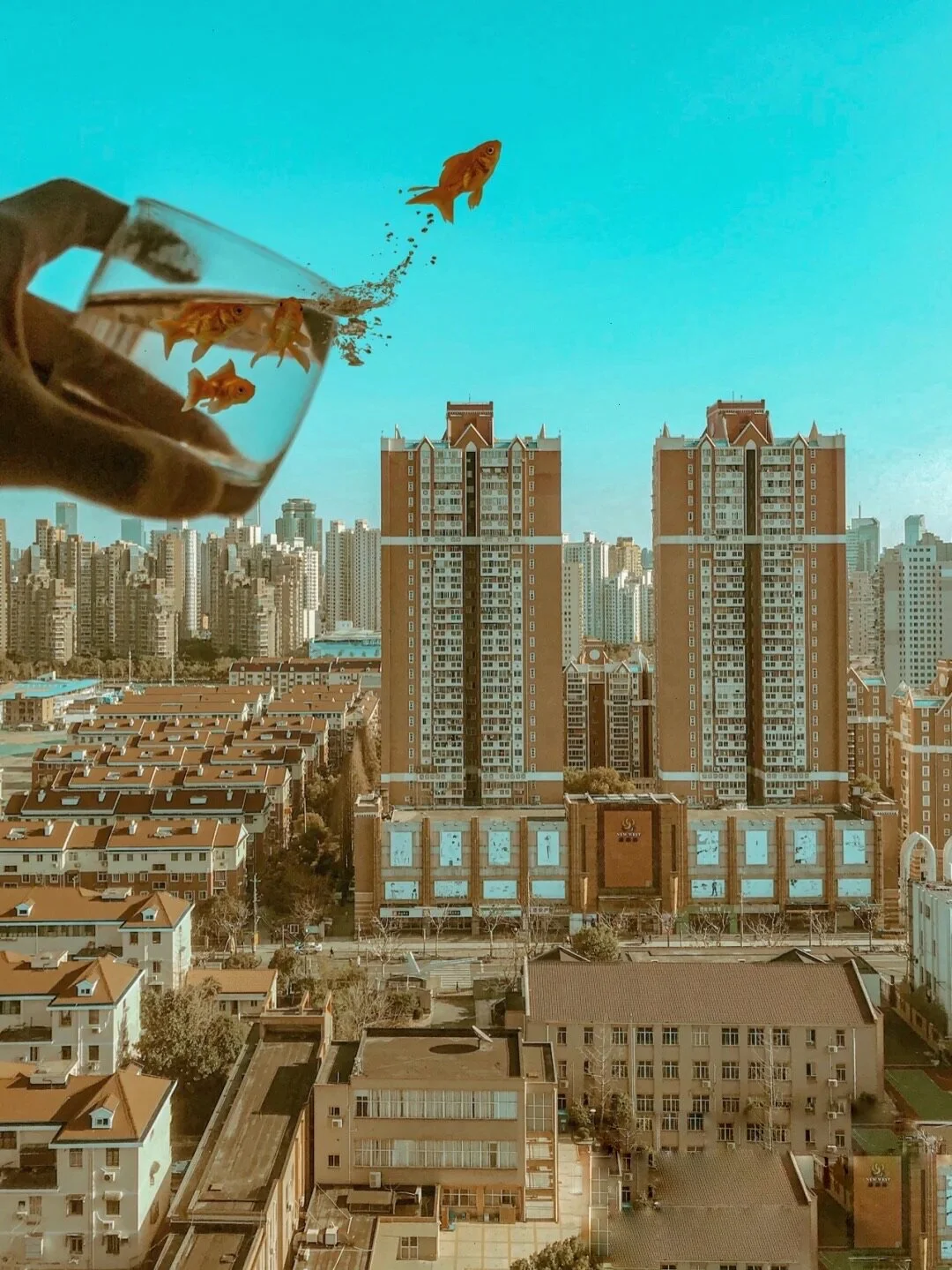 Yuchao, Photography III: Fine Art