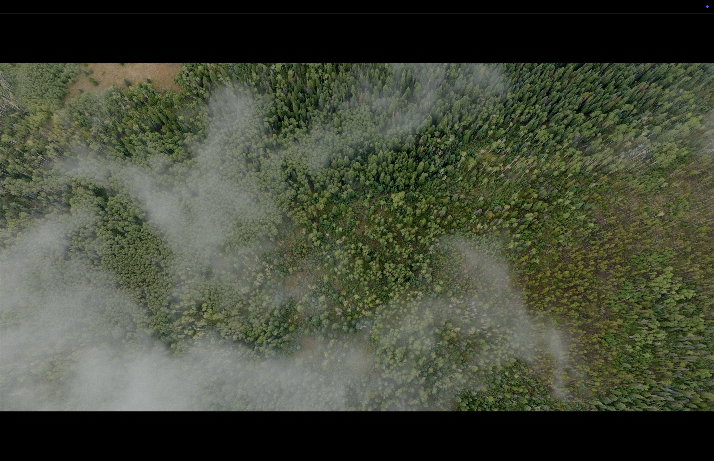 Screenshot 2025-09-03 at 8.03.53 PM.png