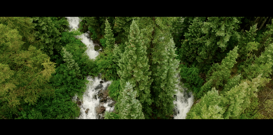 Screenshot 2024-09-10 at 10.42.07 AM.png