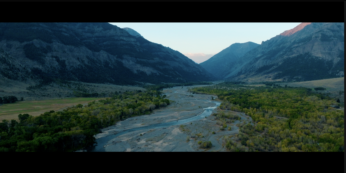 Screenshot 2024-09-10 at 10.41.56 AM.png