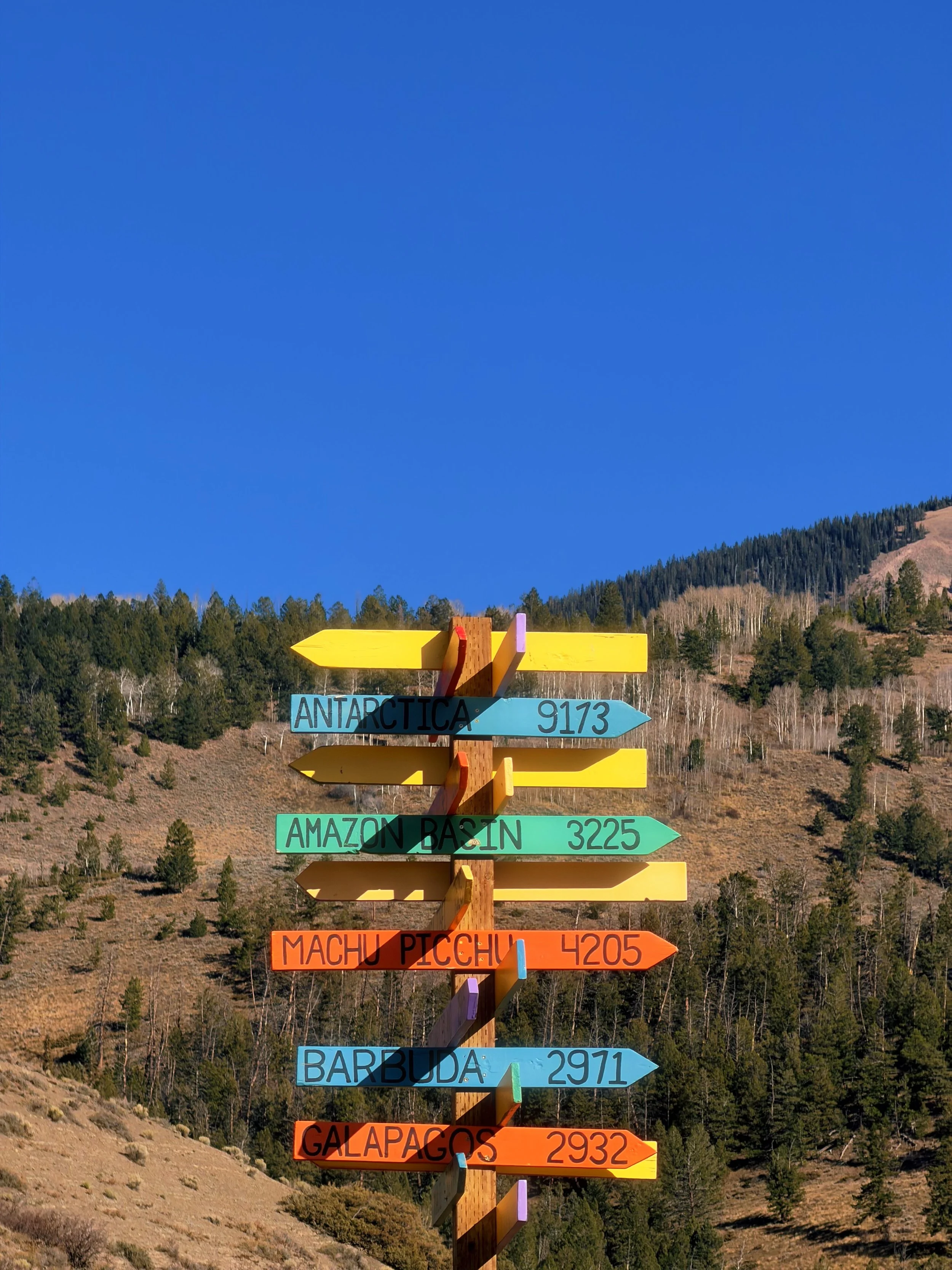 24AD0D5D-3E37-46BB-BA43-DABCCEF2EF68 2.JPG