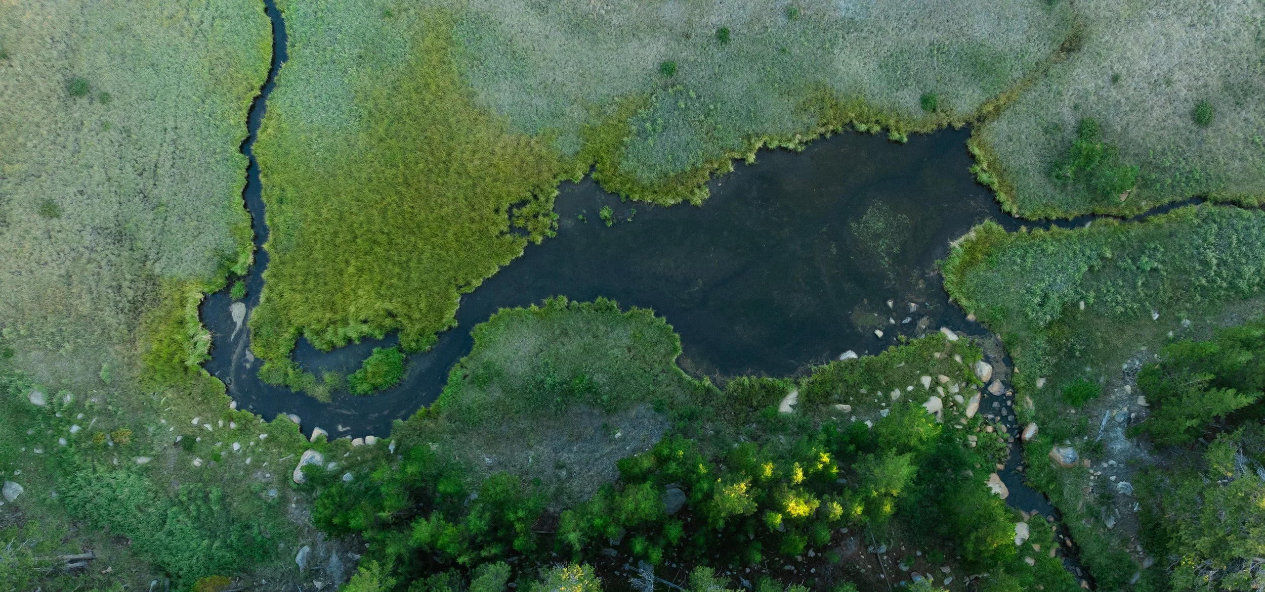 DJI_0848.jpg