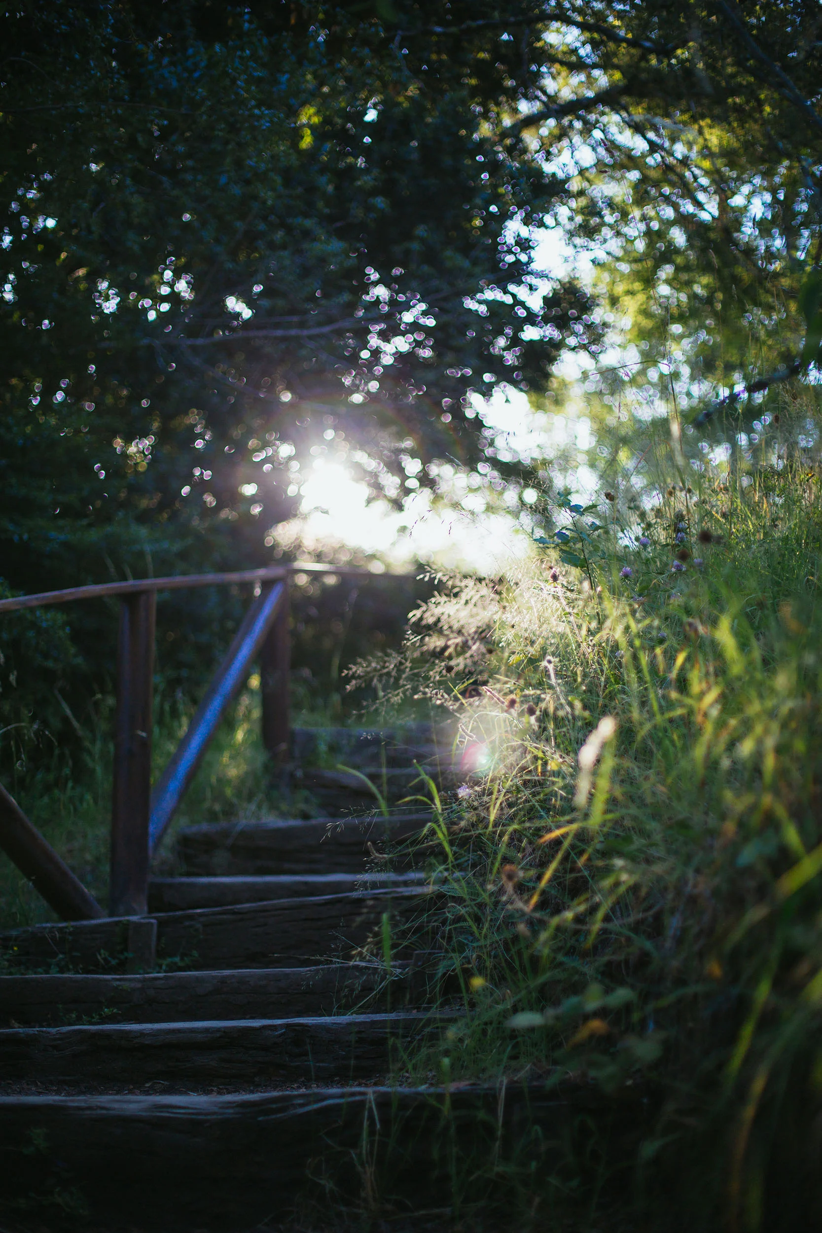 _85A2851.jpg
