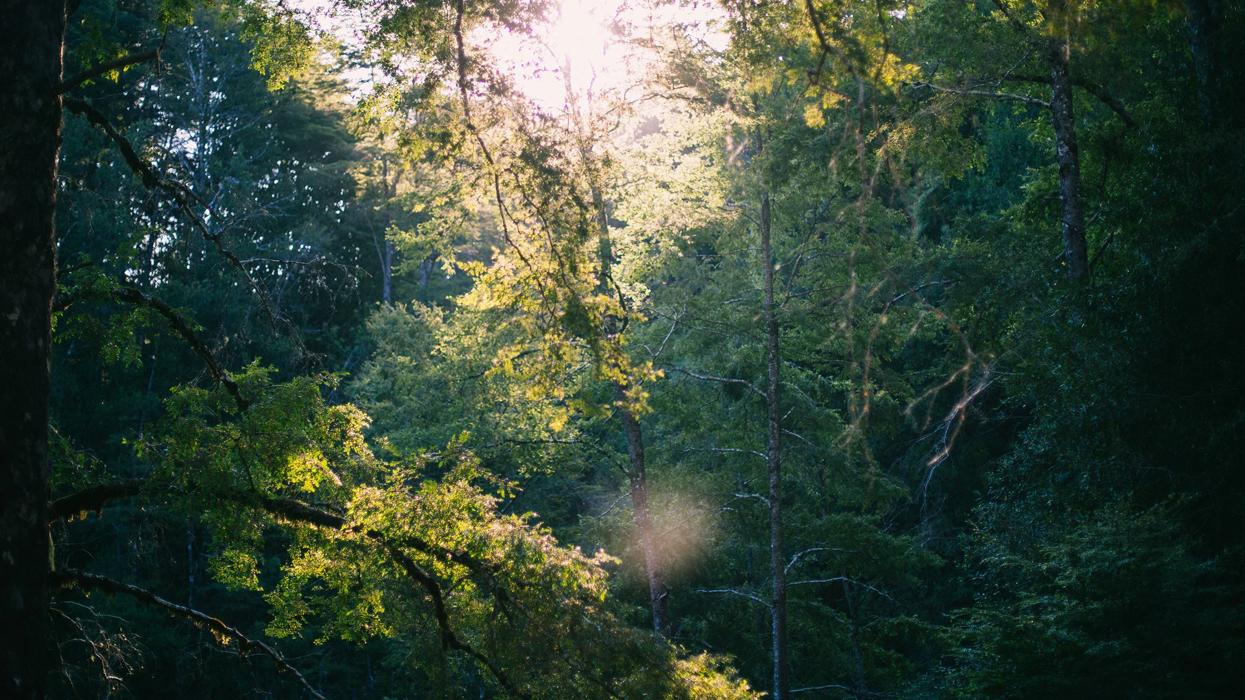 _85A2878.jpg