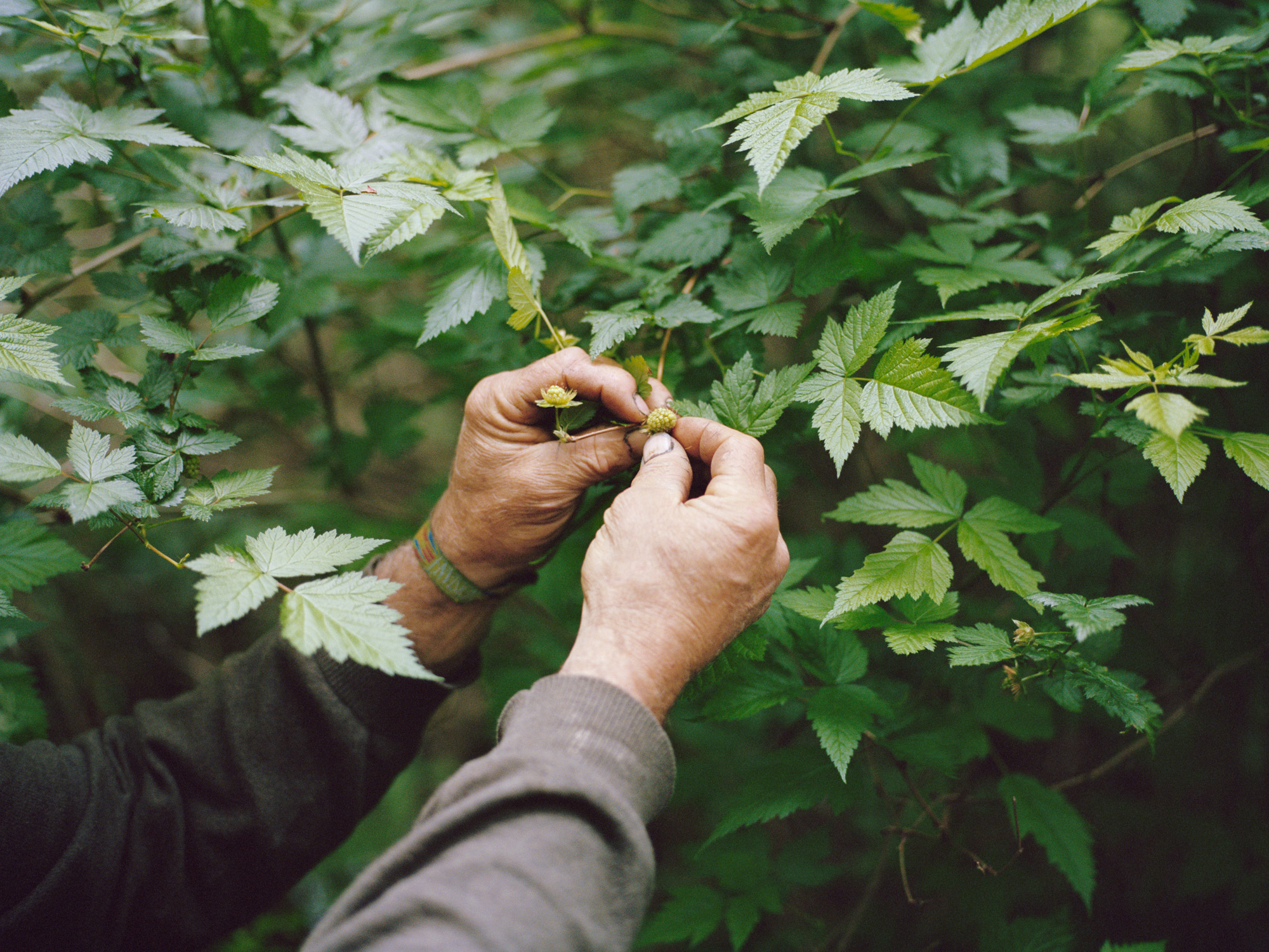 nicholas_haggard_makers+spaces_68.jpg
