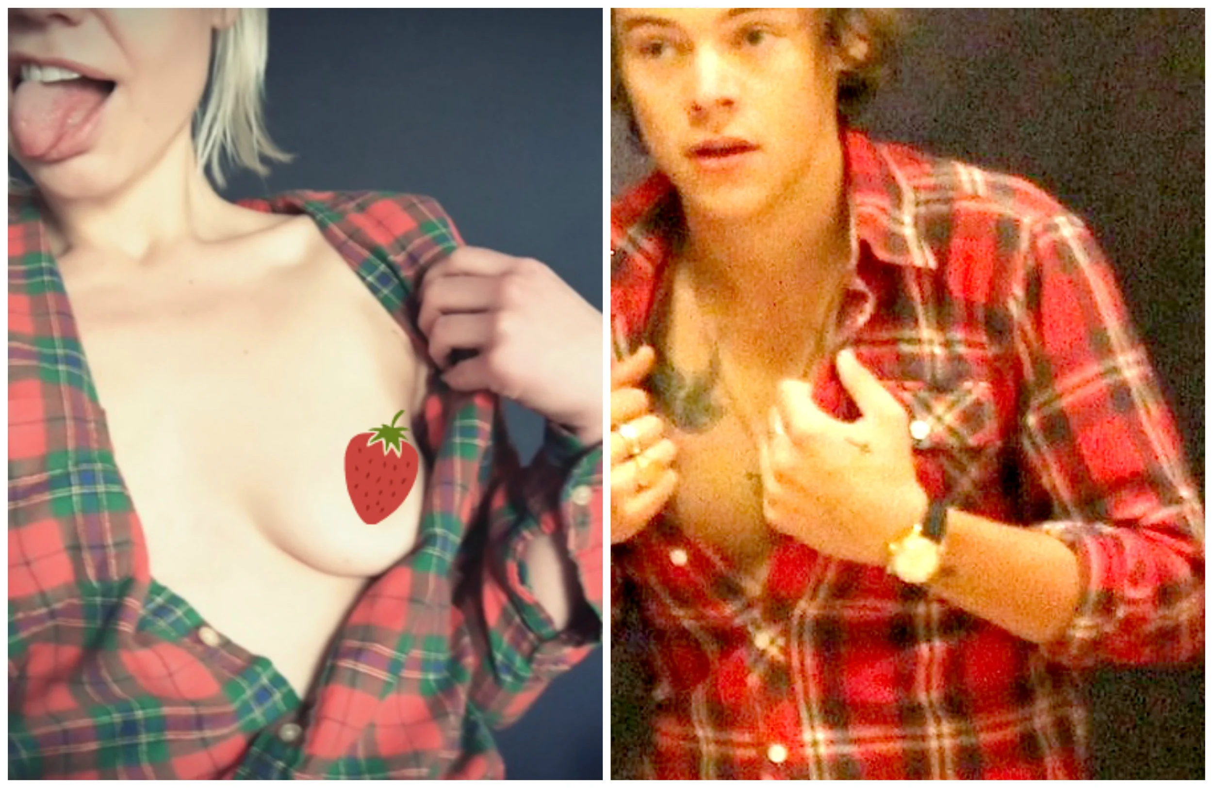 Alana Massey Harry Styles Red Plaid Learning to Slut.jpg