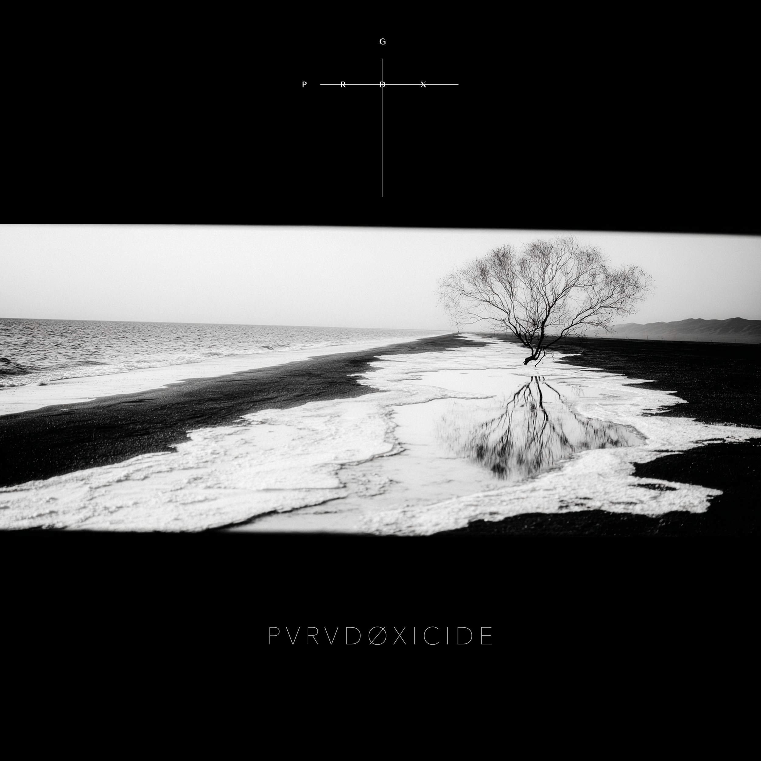 GDPRDX - PVRVDØXICIDE