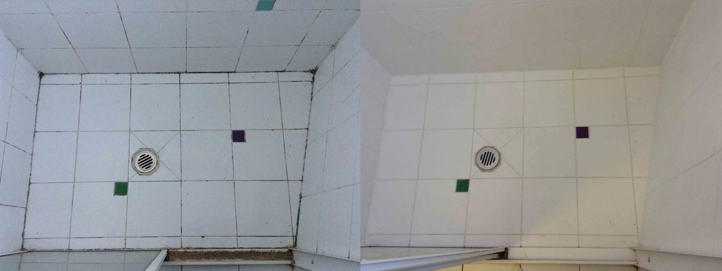 Leaking shower repaired
