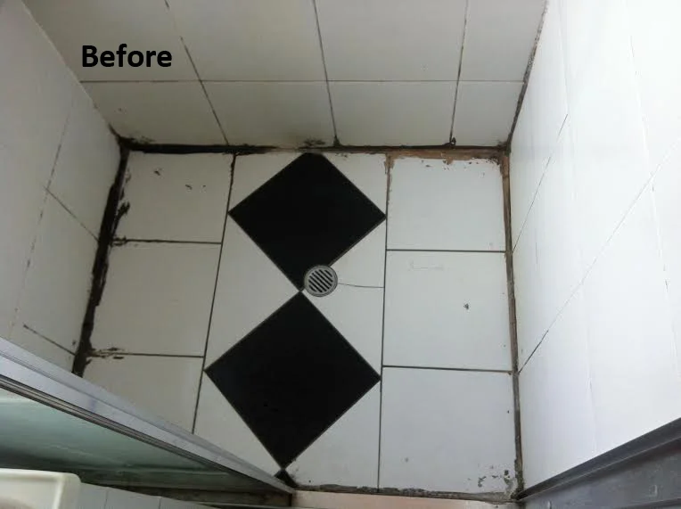 Leaking Shower Repair