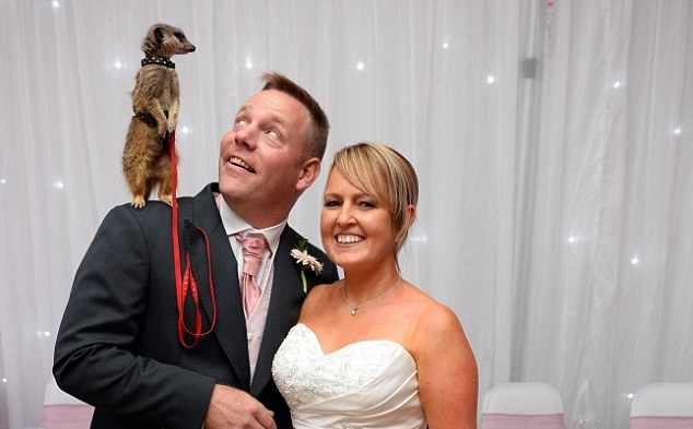 2C556A5F00000578-3235160-Groom_Paul_Freakley_and_bride_Janet_Still_both_39_from_Rugby_War-a-32_1442325685897.jpg