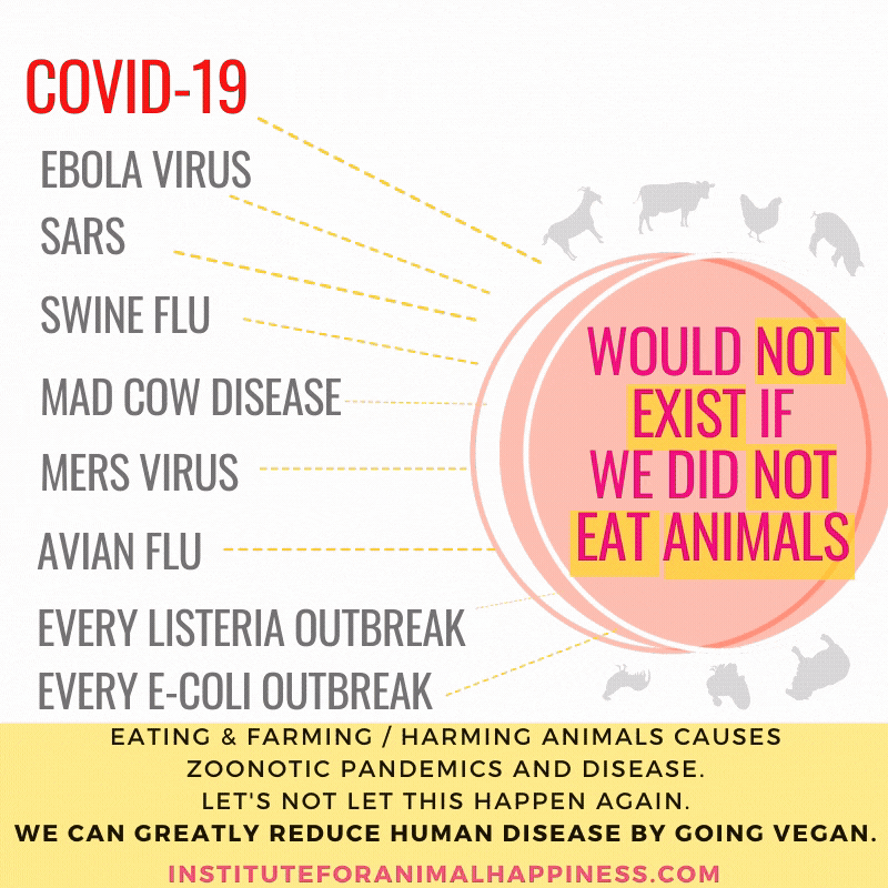 New IFAH COVID-19 WOULD NOT EXIST Graphic GIF.gif