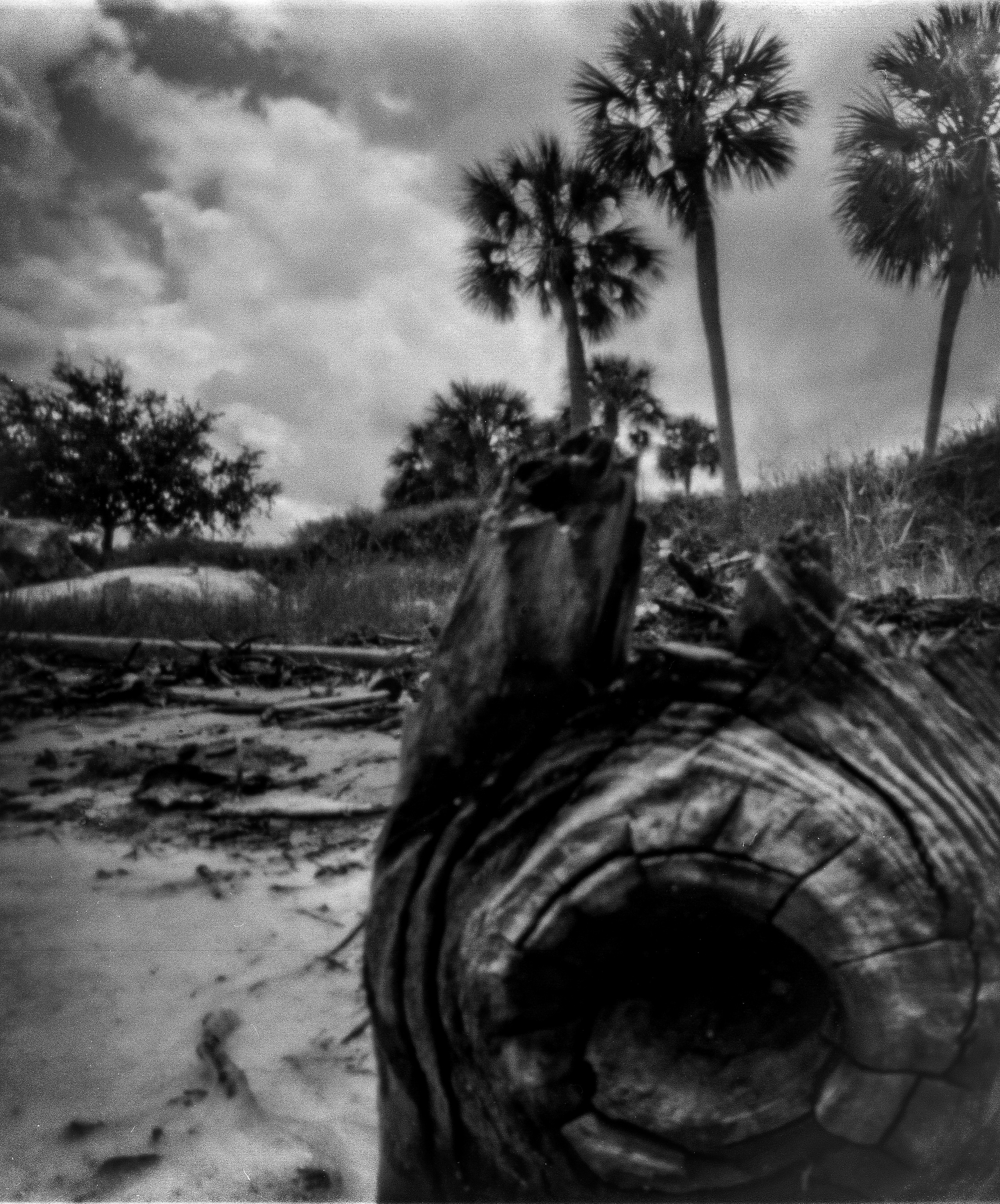 Caspersen Beach Pinhole041-Edit.jpg