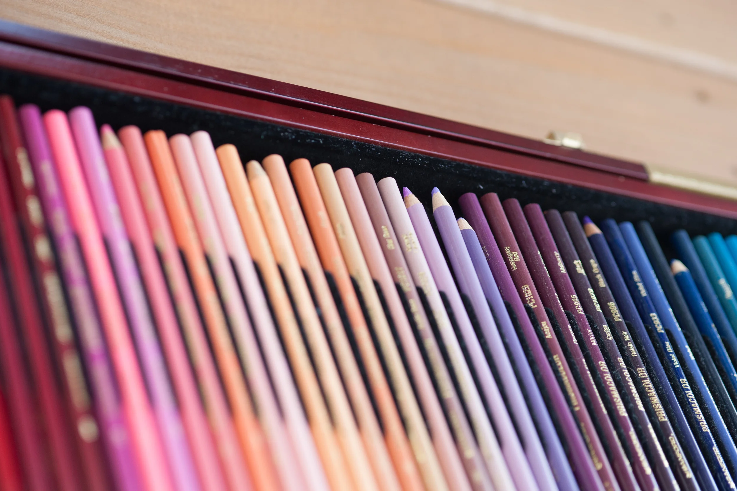 Pencil Crayon Art