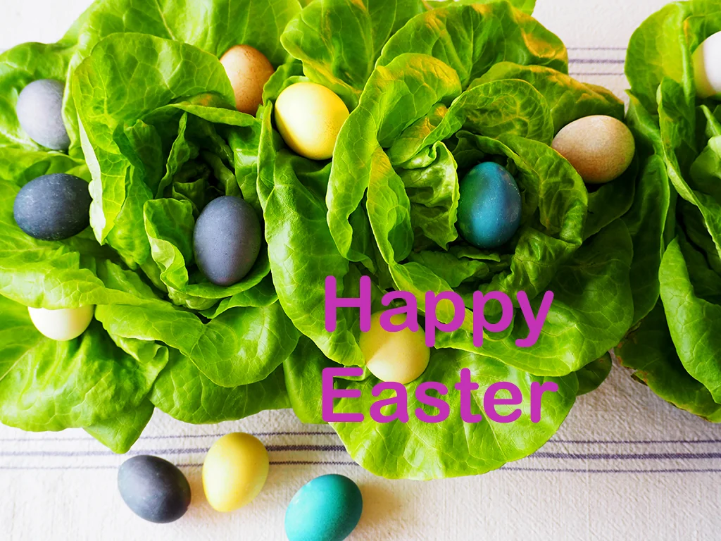 Dyeing Easter Eggs Naturally
