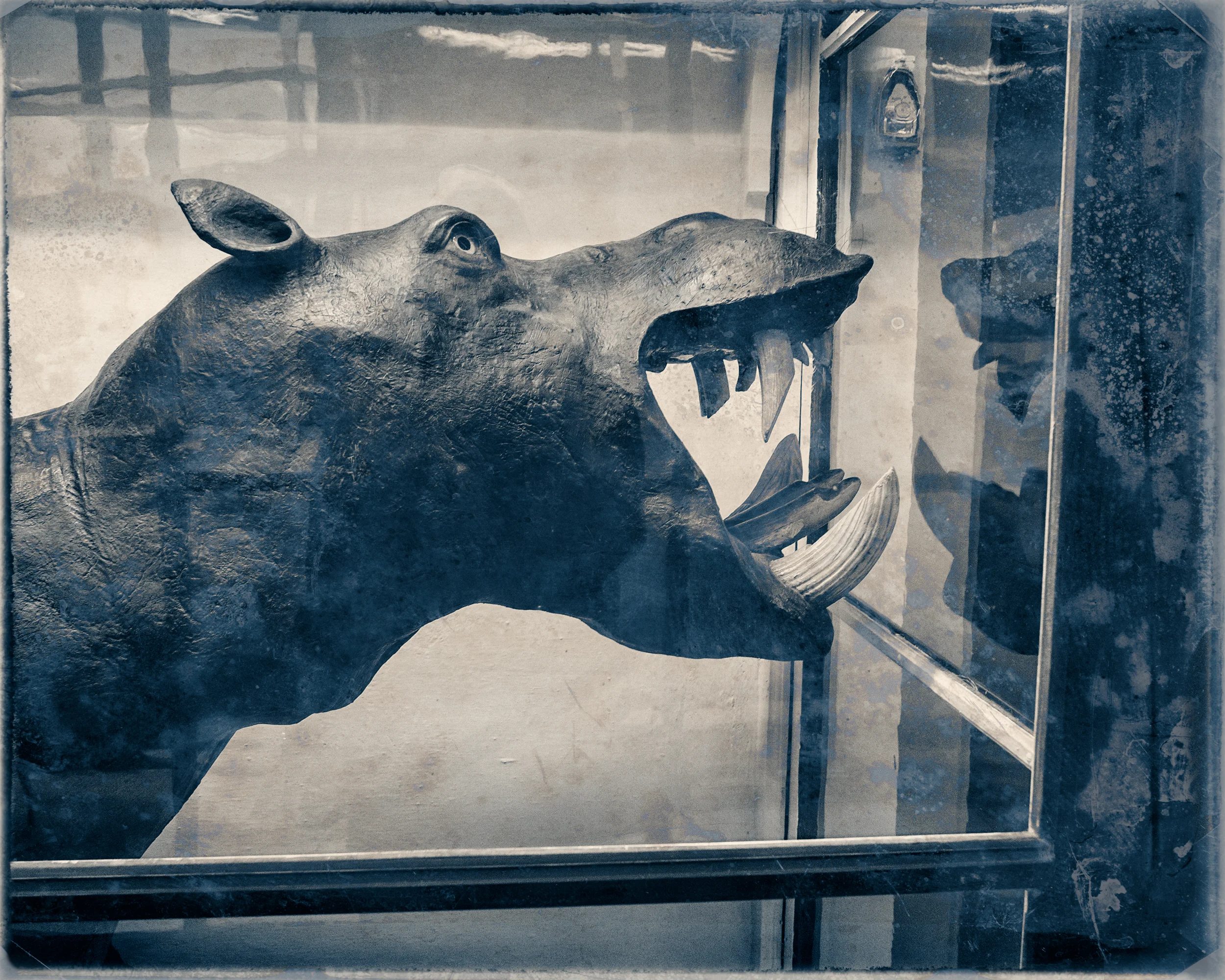 Slaughterhouse-10.jpg