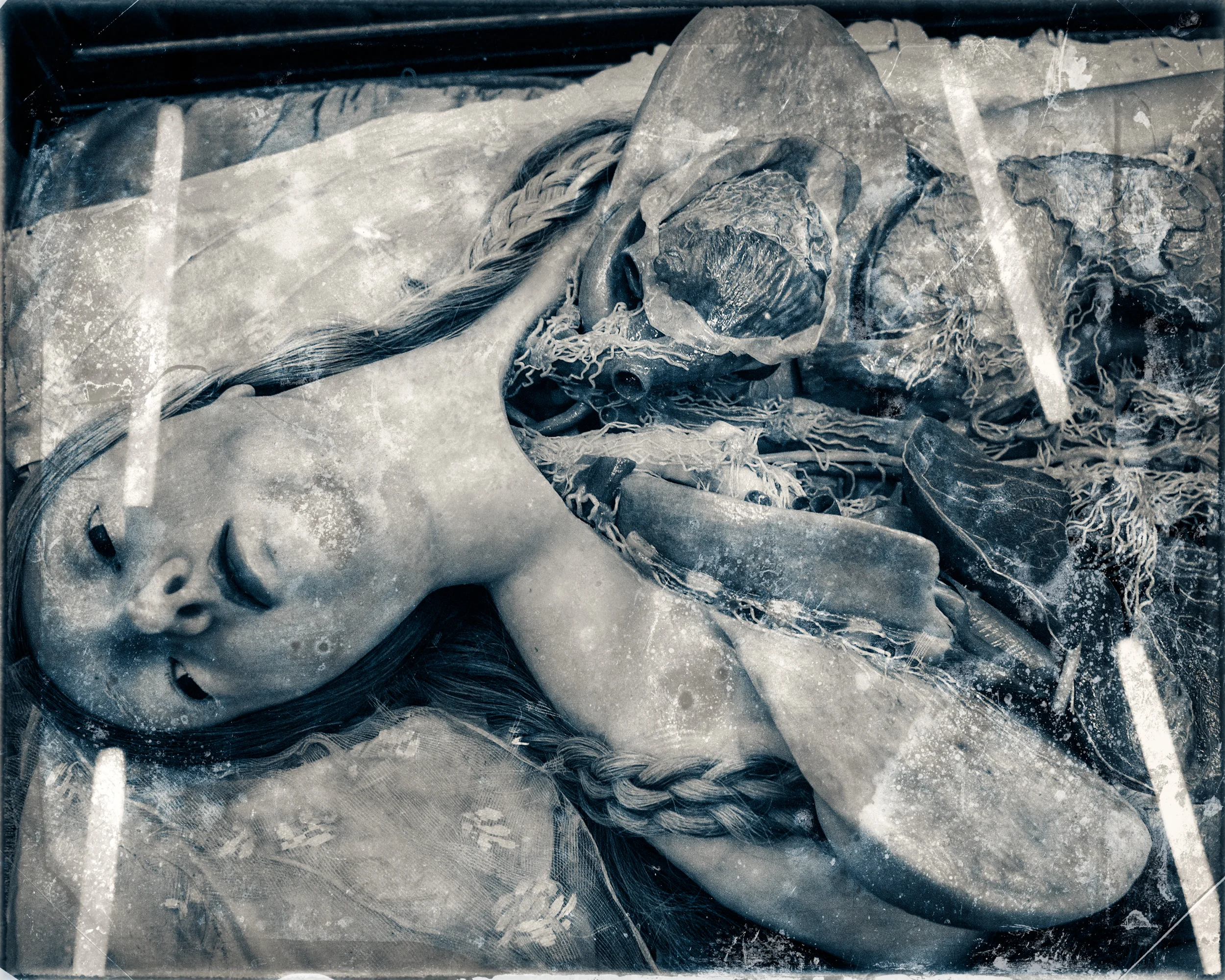 Slaughterhouse-16.jpg