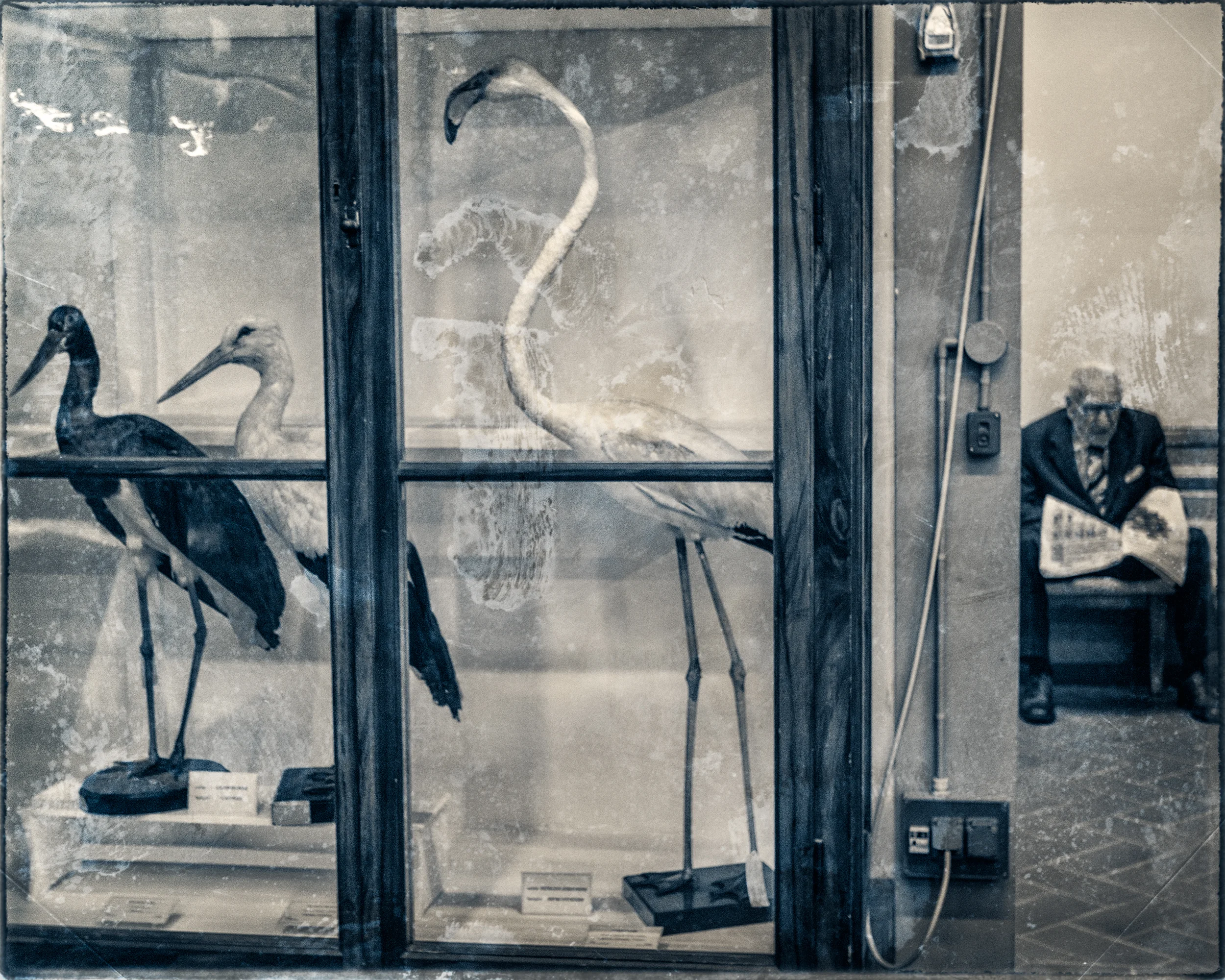 Slaughterhouse-19.jpg