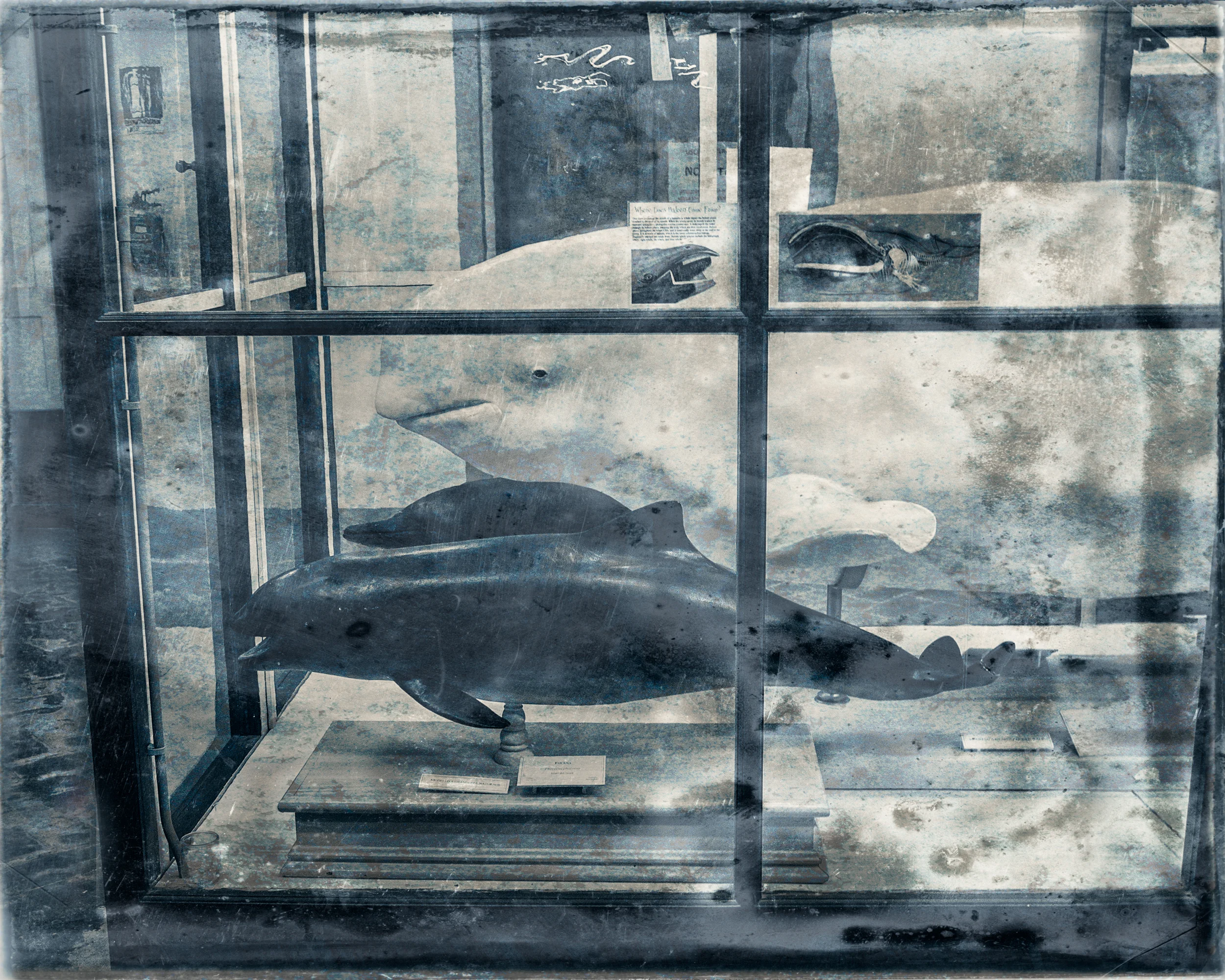 Slaughterhouse-28.jpg