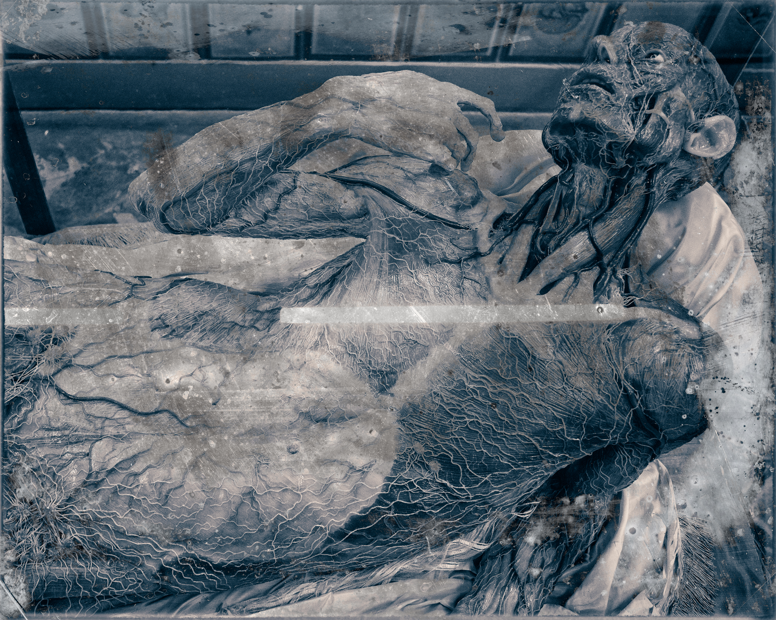 Slaughterhouse-31.jpg