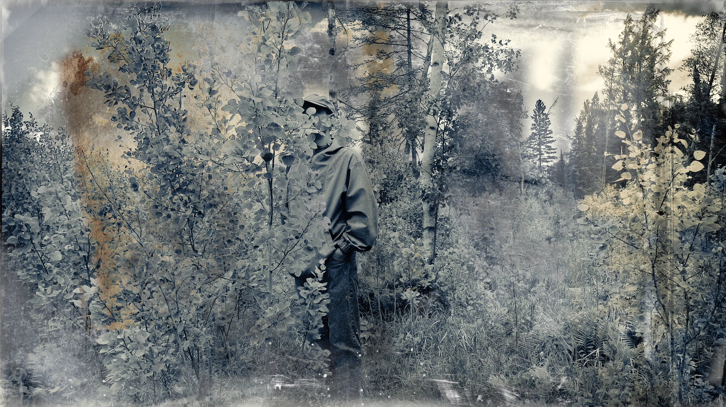 Land-8.jpg