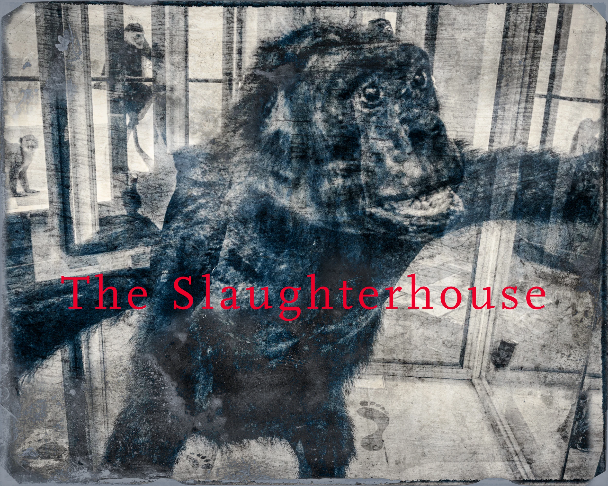 Slaughterhouse-2.jpg