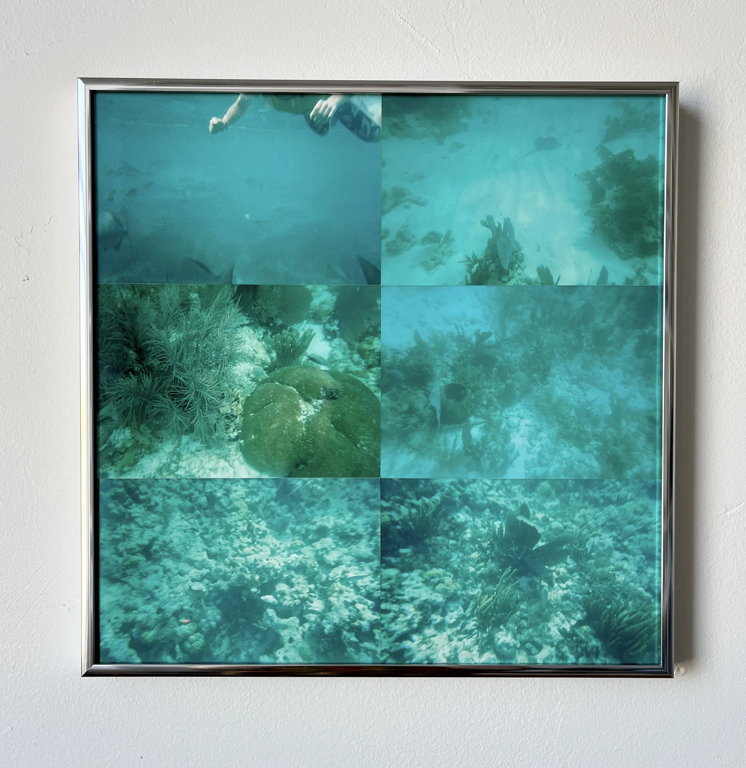  The Sound of Echolocation, 2022   