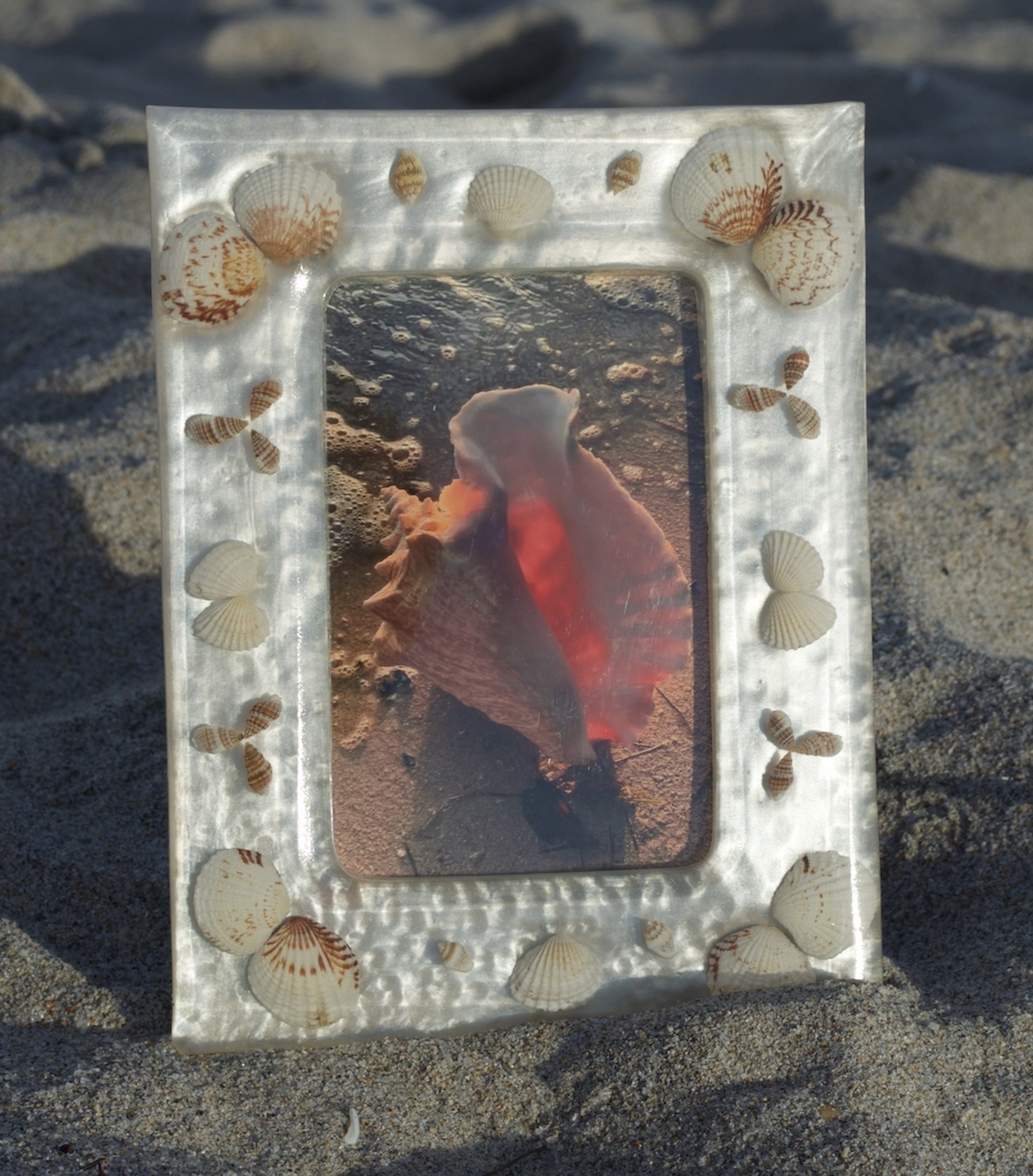 Conch Princess, 2022