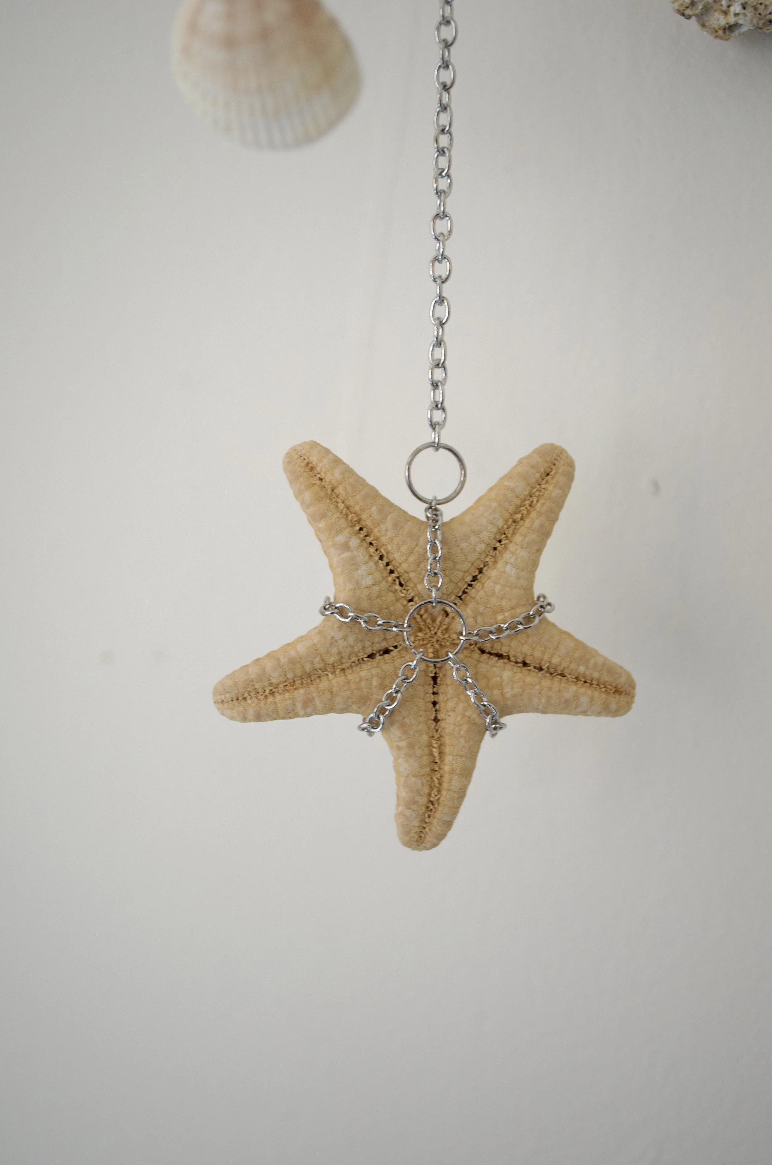 Relic VI_Memory Tree_5.jpeg